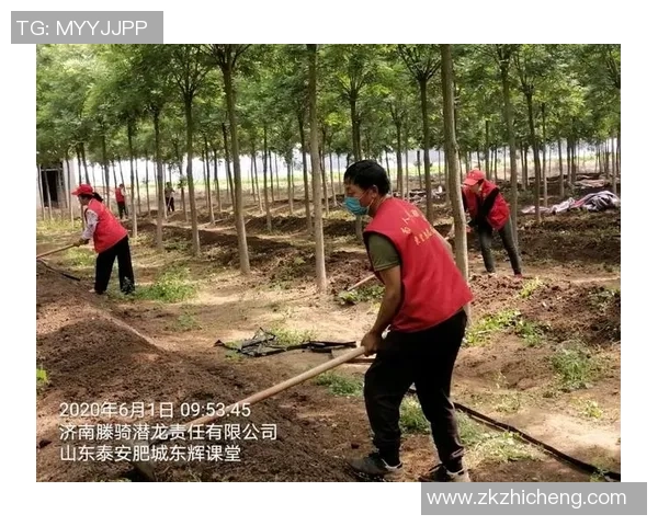 济南小伙刘德文全运会夺金的背面:太极之路,久久为功 - 全运人物志